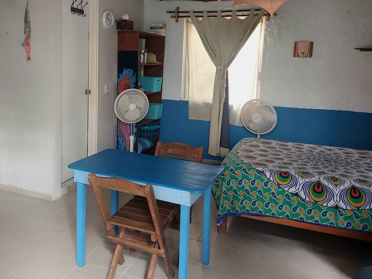 Top Airbnb: Caribbean style apt Bliss, with terrace, downtown in Paraíso Del Carmen