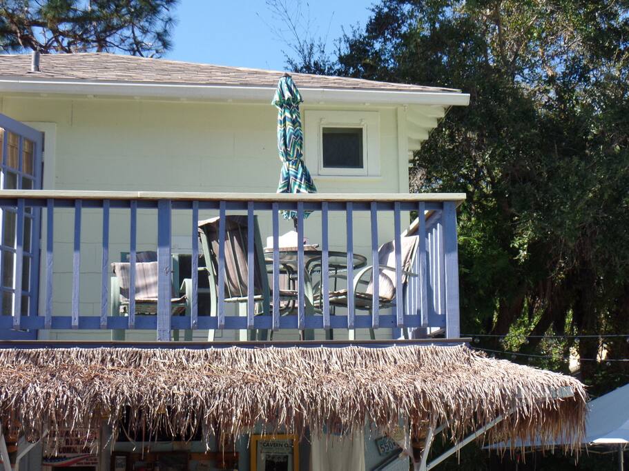 Apartments For Rent In Dunedin Florida Apartments For Rent In Dunedin Florida