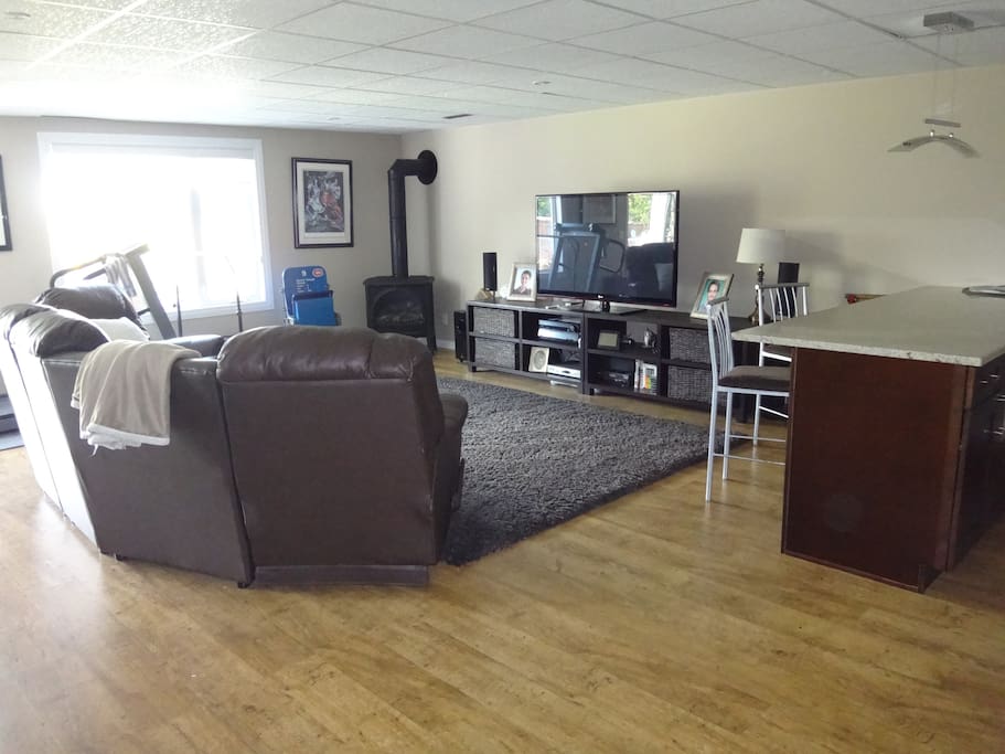 Living space in the basement, with walk out to lovely garden