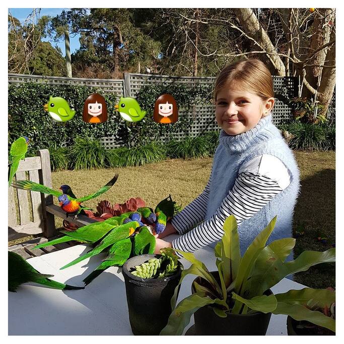 Feed the birds in the backyard