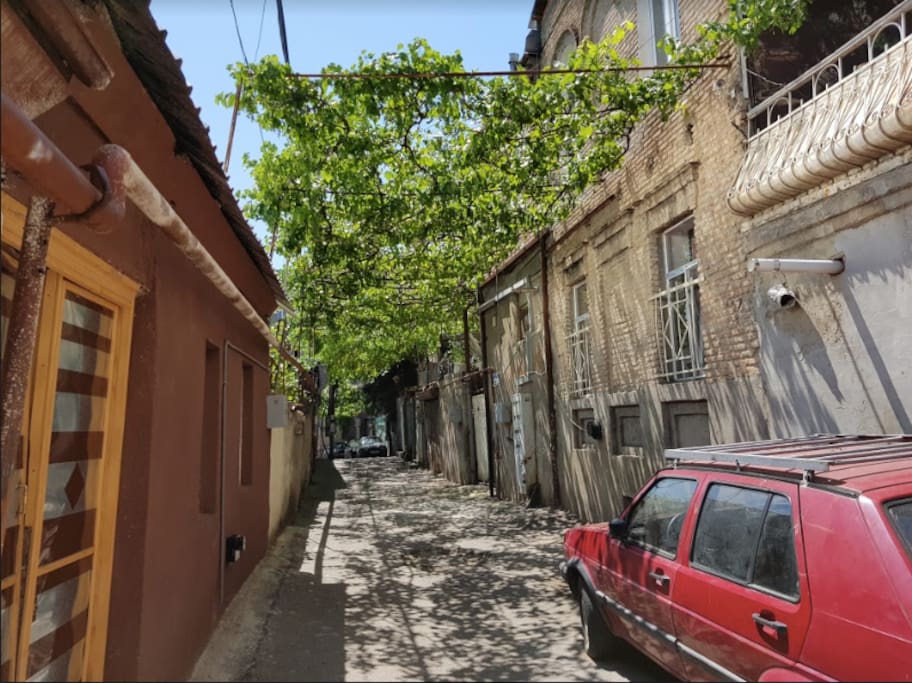 this is our beautiful and very quite street - only us and the grapes :)