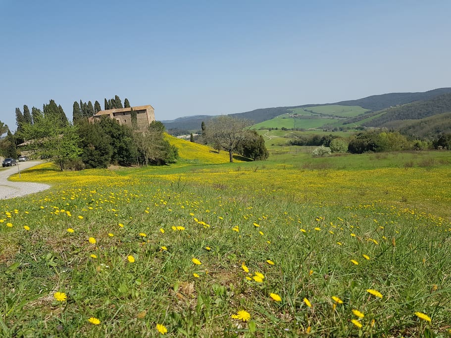 Landscape in Spring (April 2018)