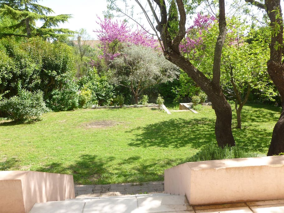 vue sur le jardin Sud