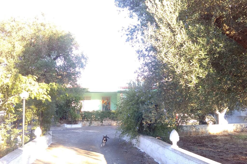 viale d'accesso alla campagna