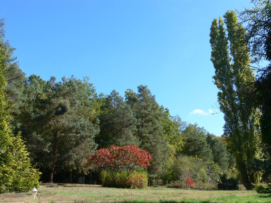 Le jardin