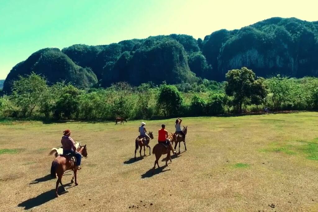 Excurciones a caballo organizadas desde la casa