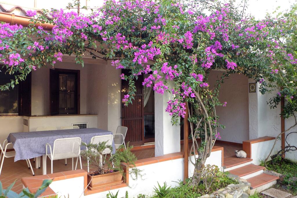 la veranda