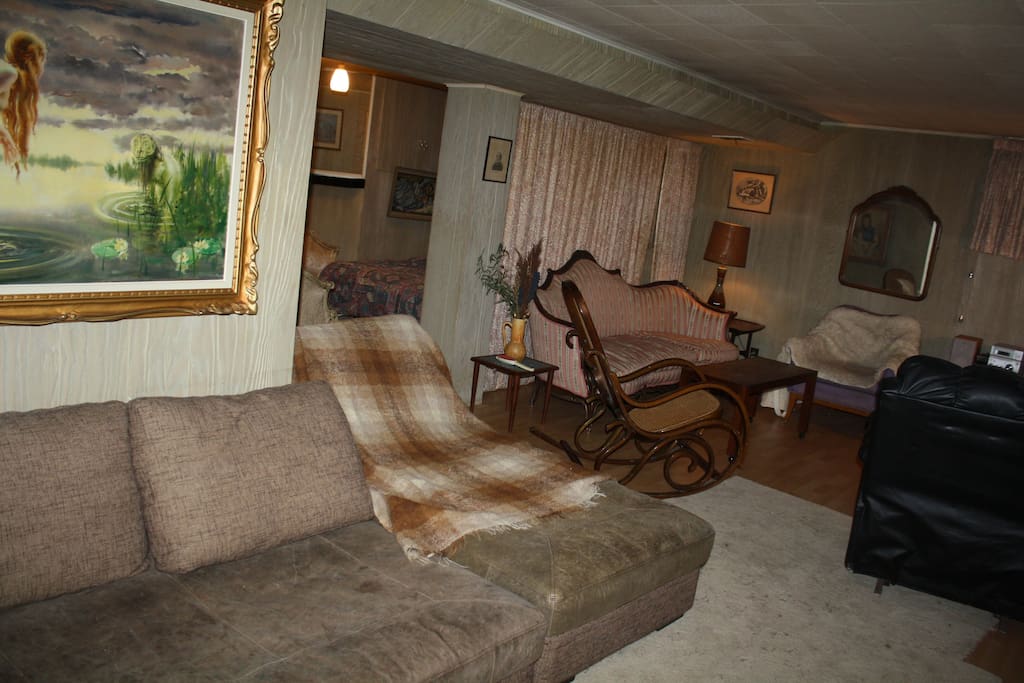 More of downstairs living area