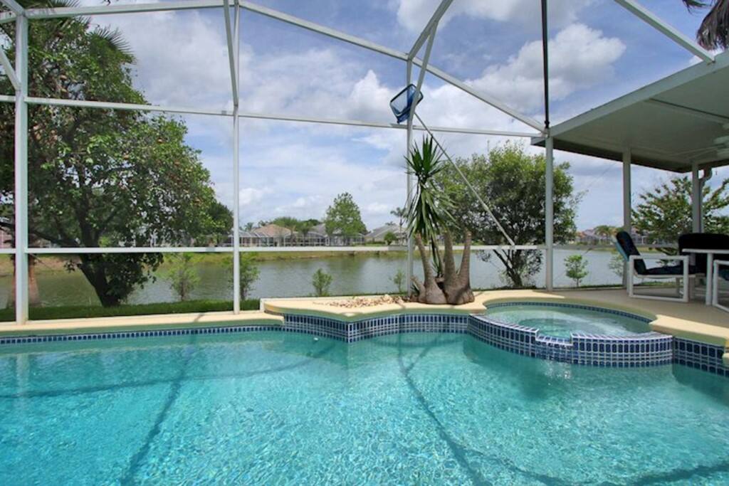 Pool,Water,Palm Tree,Tree,Resort