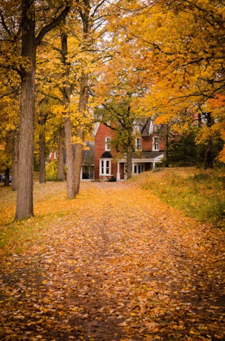 Fall view from Driveway