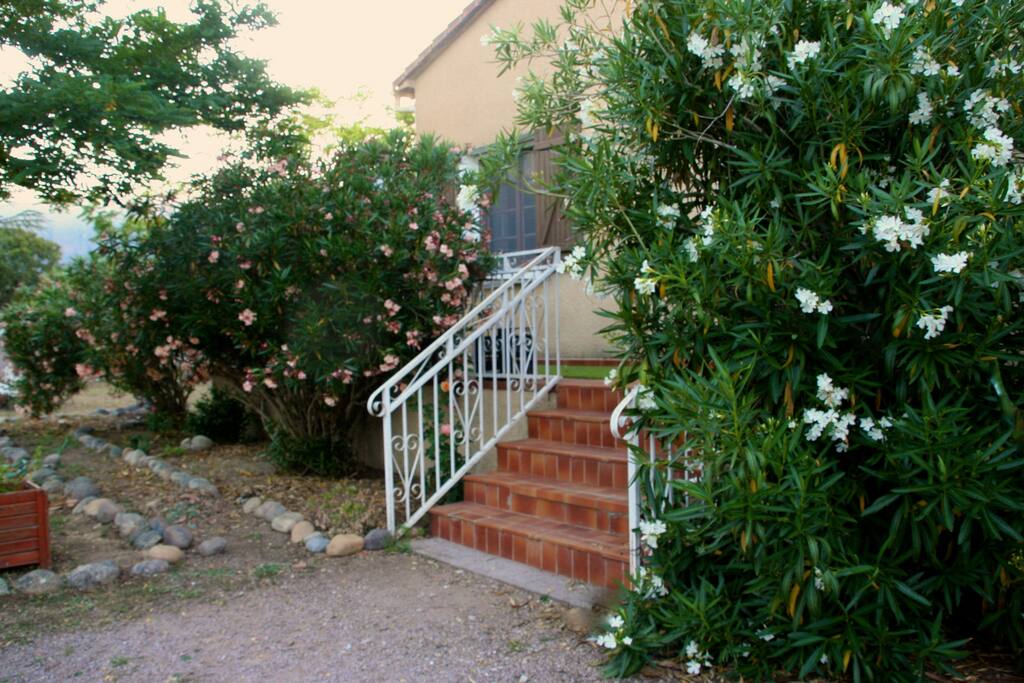 l'entrée