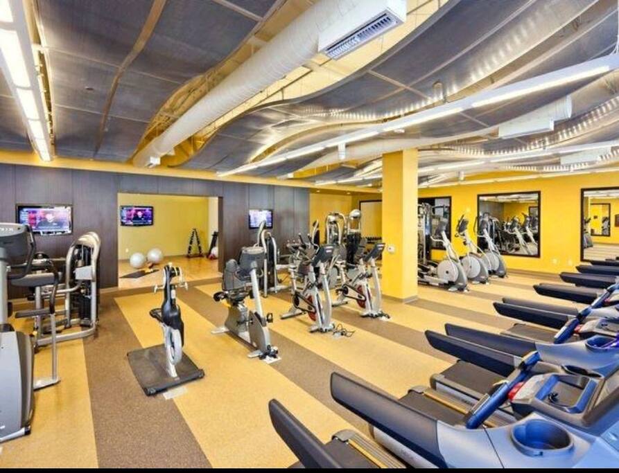 Gym / Yoga studio