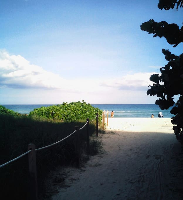 beach accross Collinsw