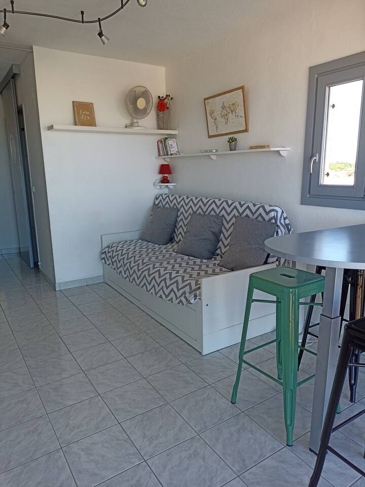Studio Face Mer Accès Direct à La Plage - Torreilles