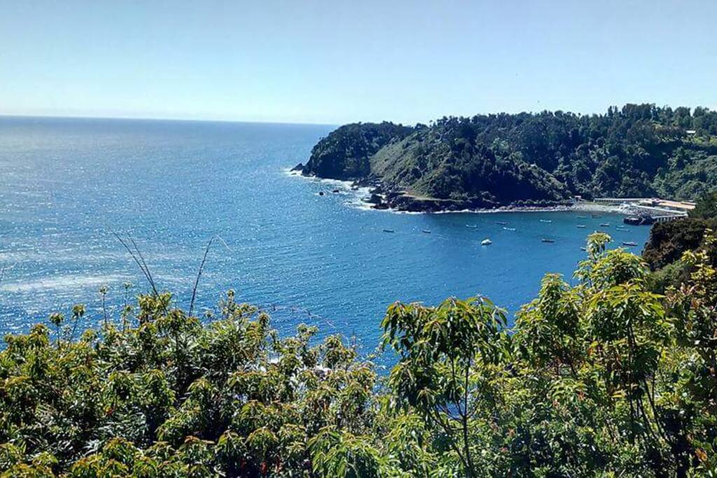 vista desde el bosquecito en el que está inmerso Tike Hostel