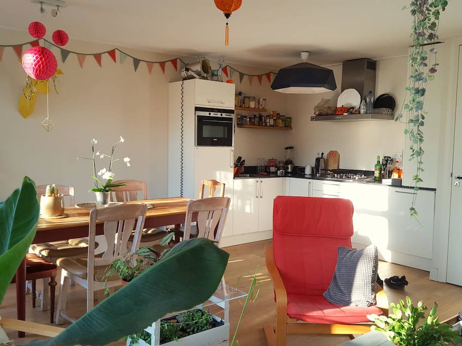 This is the view of the living area-kitchen from the sofa. Our friends call our house "the cemetary of party decoration", 'cause we take no decoration down. ;)