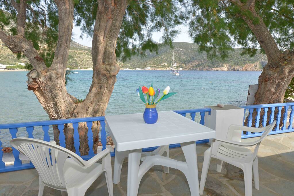 The terrace of the house on the water