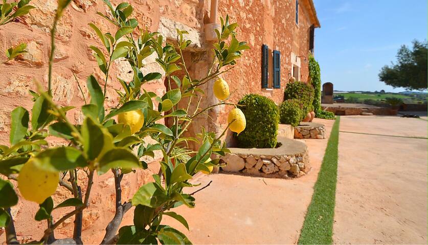 Sa Pleta Nur 5 min vom Rafa Nadal Sportzentrum gallery image 4