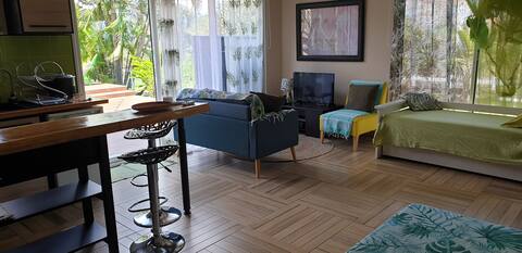 Successful Airbnb property: Large studio, swimming pool, terrace, garden, sea view in La Possession