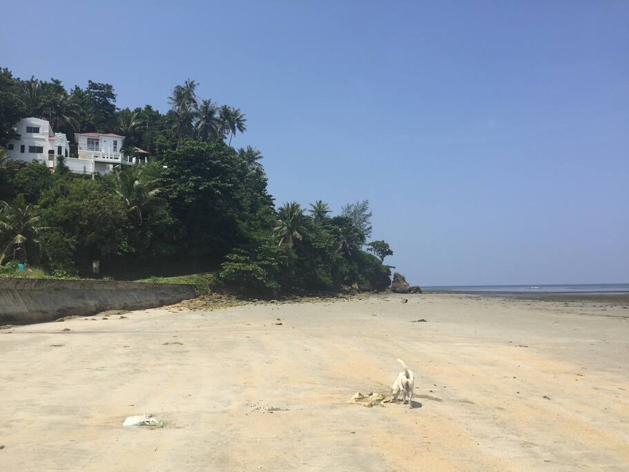 Overlooking Boracay Island, Private place, VIA commute by land transpo ( tricycle/ taxi) 15 minutes away drive from Caticlan Jetty Port and Airport to the property. Landmark: from malay municipal hall/ police station TURN right going to Beach side