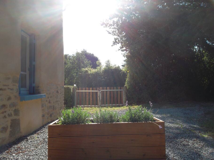 Morning sun