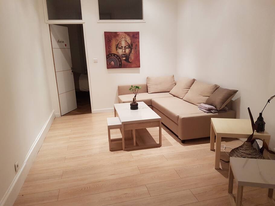 Salon avec canapé IKEA neuf convertible très confortable