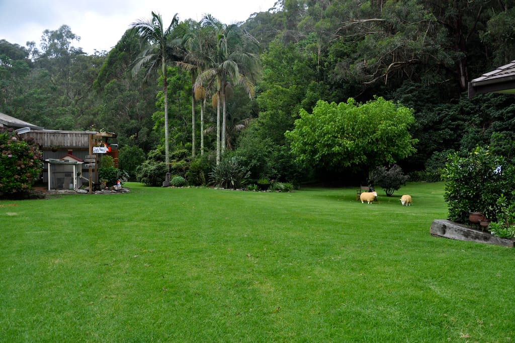 Looking across our lawn from Cottage 2