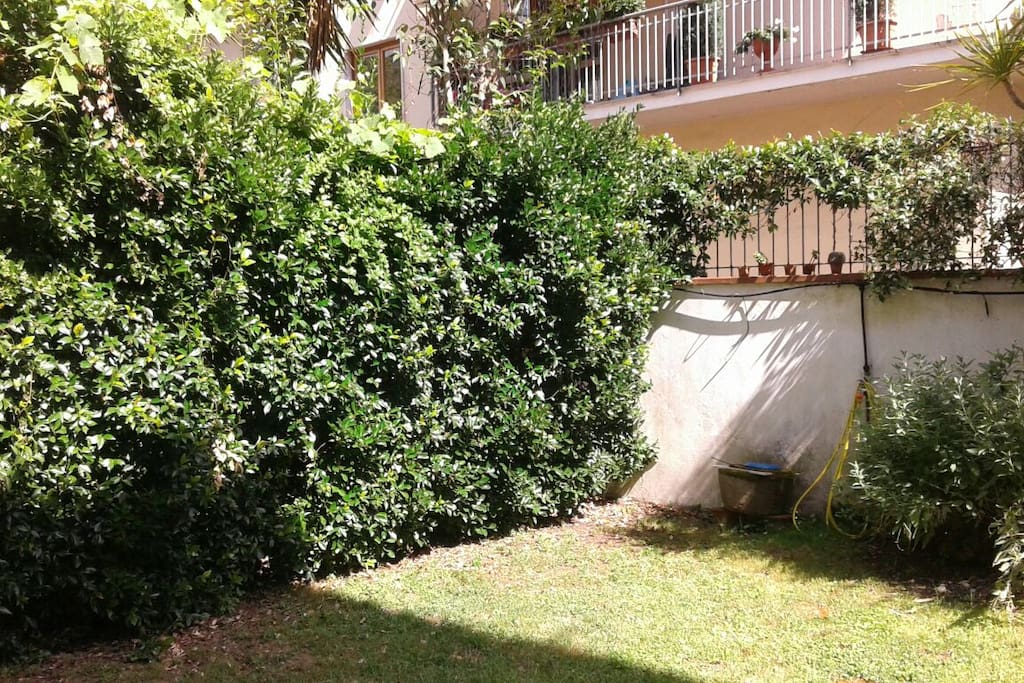 giardino