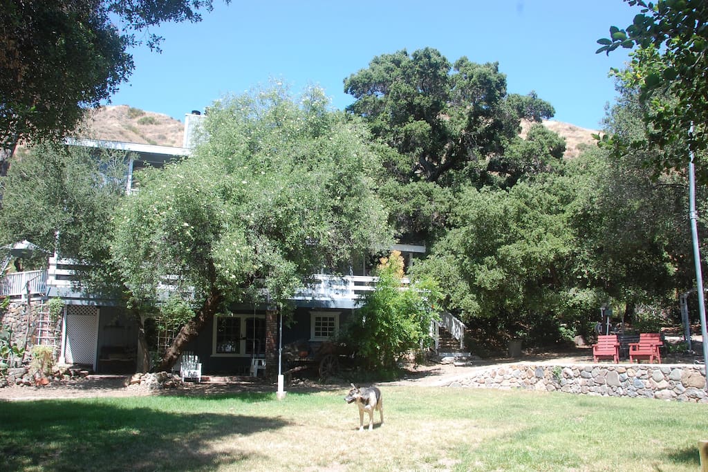 Gated lawn area in front of room.