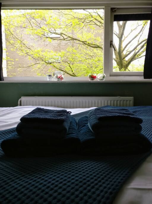 Window view