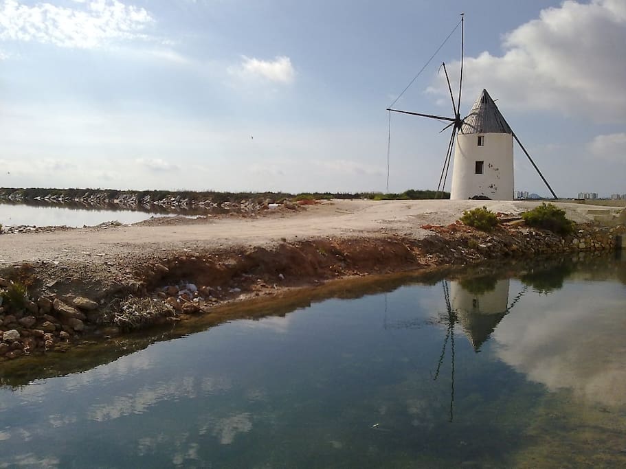 walk into peaceful natural reserve with salt lakes just meters away