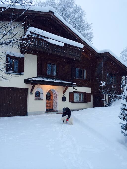 House Calanda & Bogart, our family dog, in the winter time