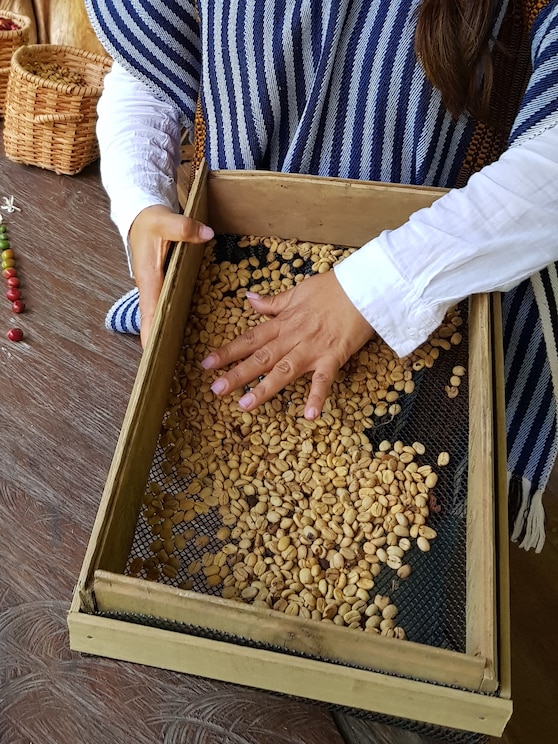 Mostrar imagem fornecida pelo anfitrião em ecrã inteiro