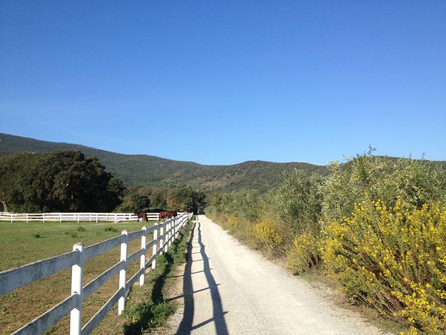 private access road