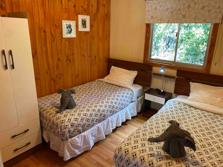 Cabin in native forest, Los Lleuques, Nevados route