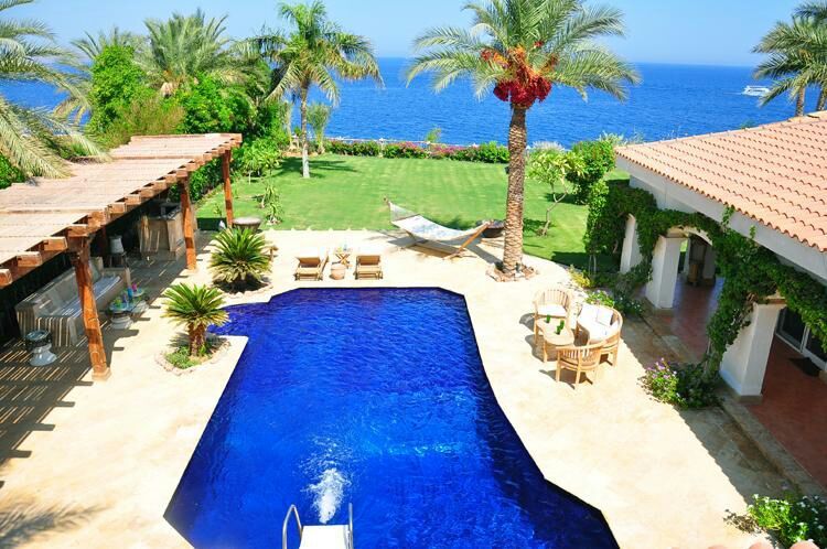 A serene outdoor space features a vibrant blue pool surrounded by tropical greenery. A hammock is gently swaying between palm trees, and seating areas are arranged nearby. The expansive ocean view is visible in the background, creating a tranquil setting.