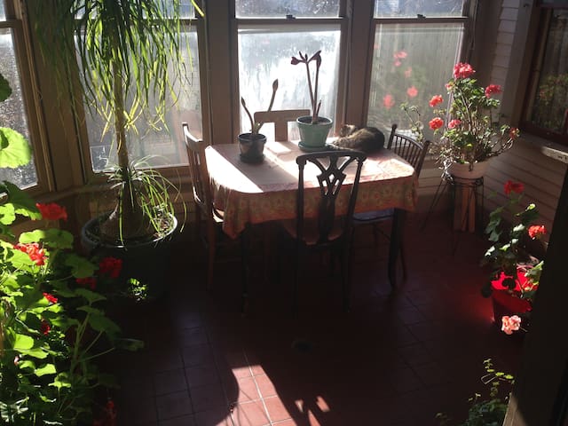 Urban Paradise-CosyYellow