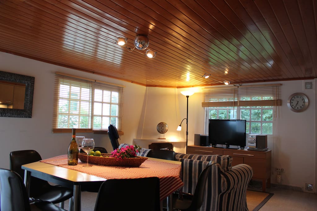 Acogedor salón-comedor con techos forrados en madera de pino.