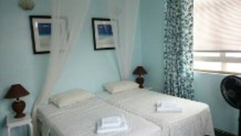 Desert Rose, Dover, Christ Church