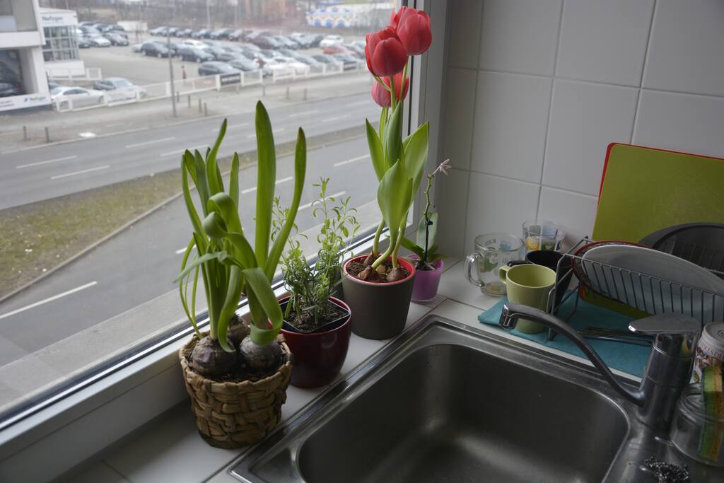 kitchen with some flowers :)
