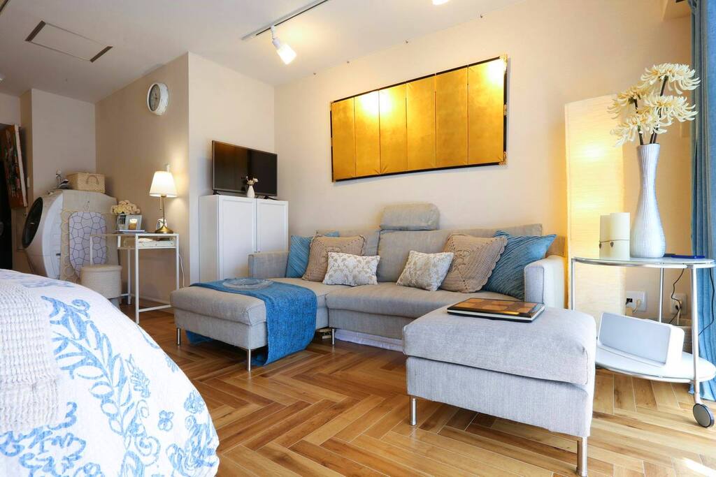 Comfy sofa (converts to double bed)