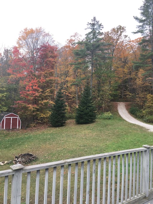 Vermont maple tree autumn foliage