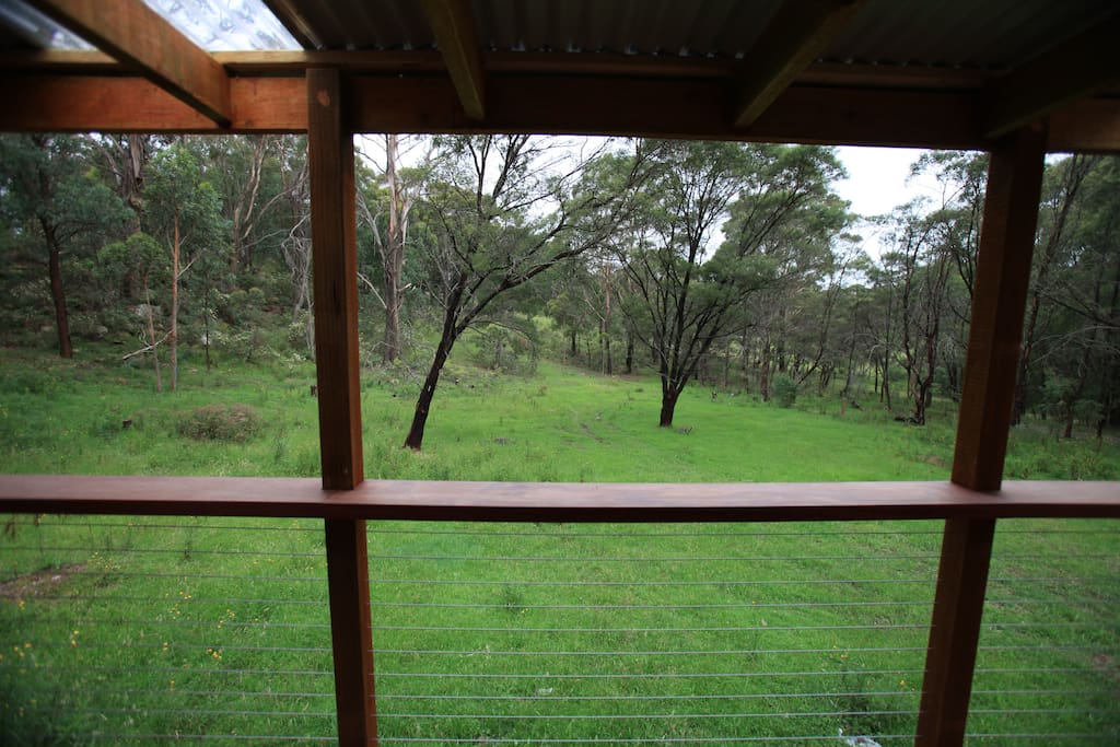 View from the farmstay cottage.
Watch the wombats and kangaroos