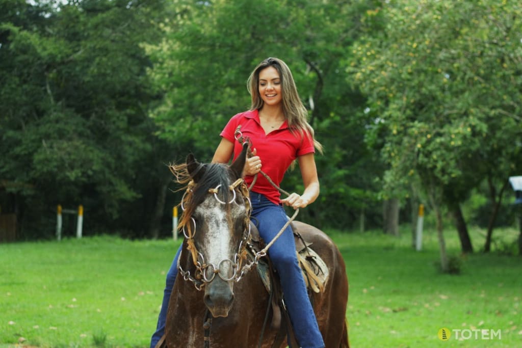 Cavalo Chitão. Conquistador dos turistas.