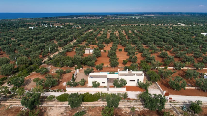 Villa Sofia by Perle di Puglia