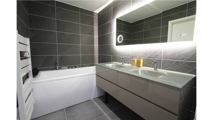 Appartement haut de gamme au centre ville Colmar