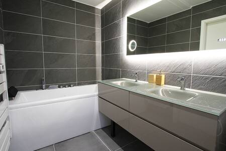 Appartement haut de gamme au centre ville Colmar