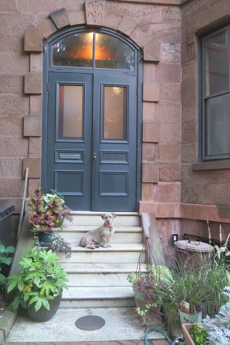 Front door with your host, Moxie