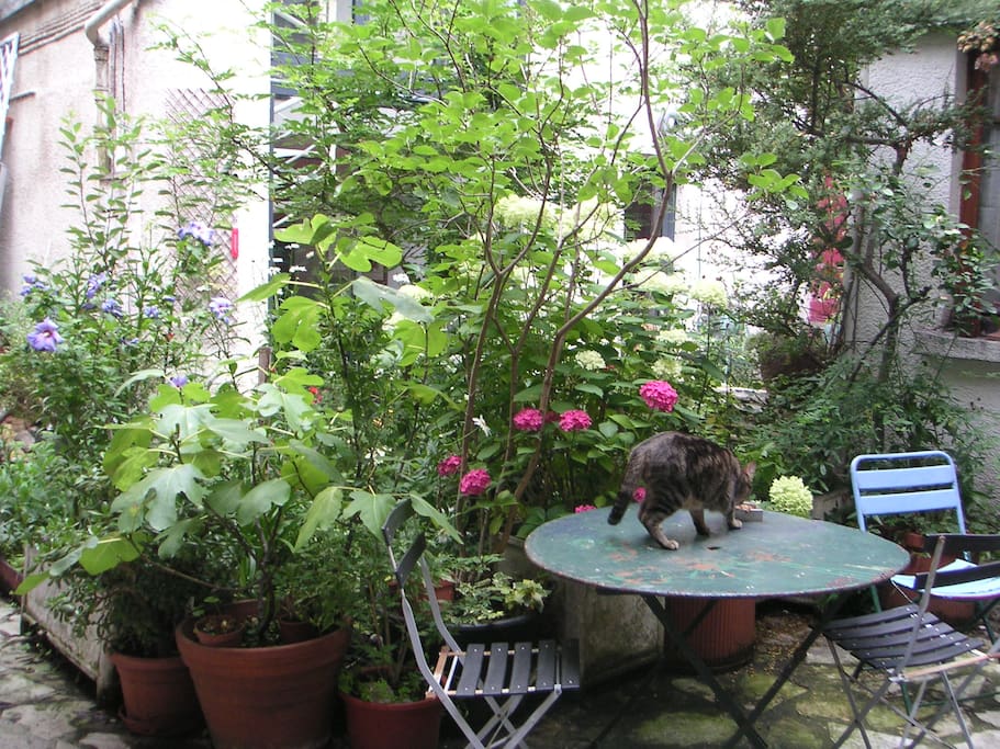 le jardin commun permet des petits déjeuners au son des oiseaux.