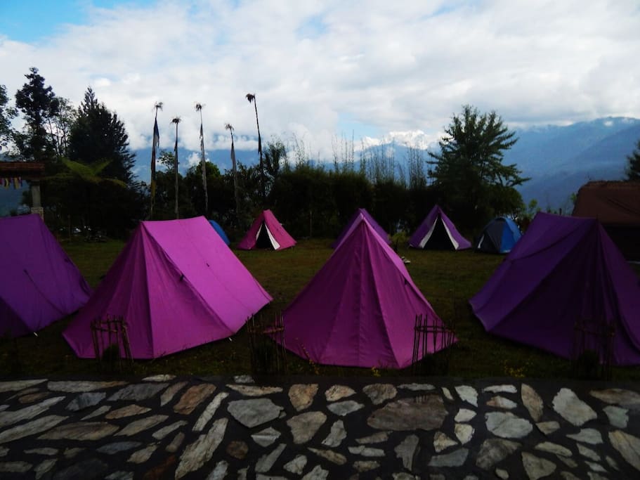 Tent